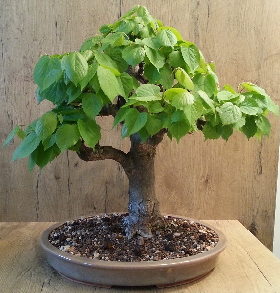 20130510_190831.jpg