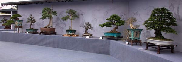DSC_5726.jpg
