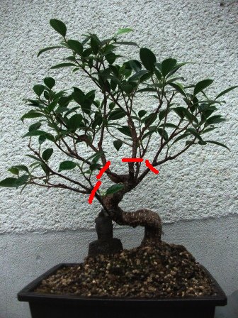 DSCF2577.jpg
