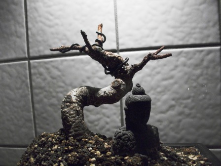 DSCF2580.JPG