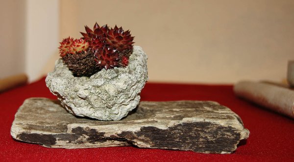 DSC_0023.JPG