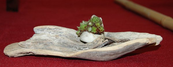 DSC_0036.JPG