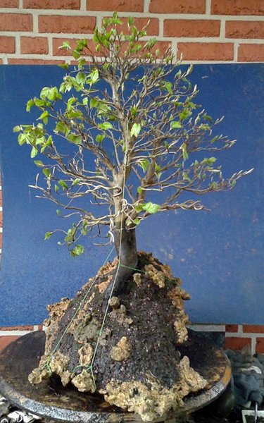 2013-05-14 17.53.00.jpg