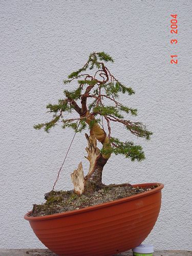 das Ergebnis