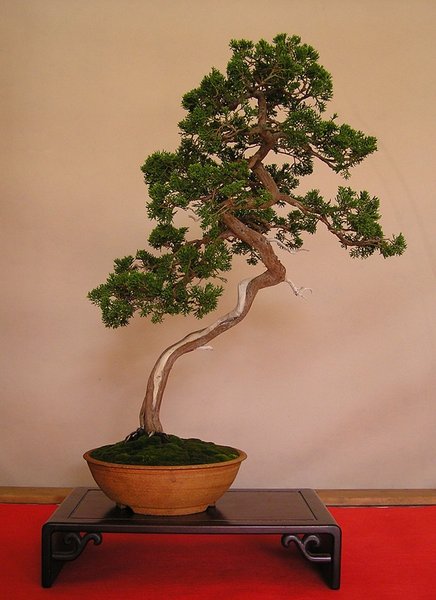 a055.jpg