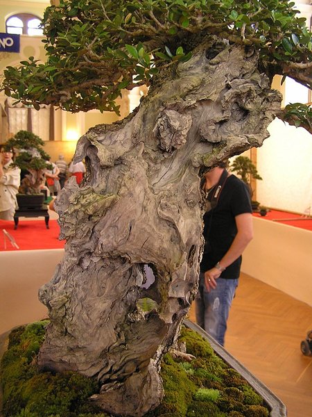 Stammdetail