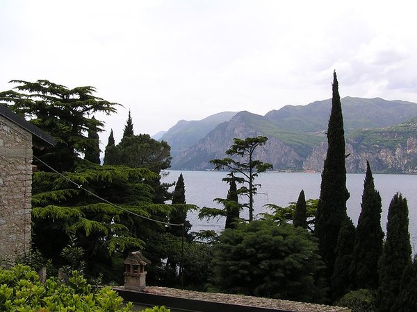 Nochmal Malcesine: Blick durch die Zypressen auf den See