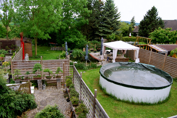 DSC_1529 (5).JPG