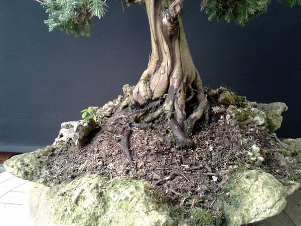 2013-05-21 16.50.23.jpg