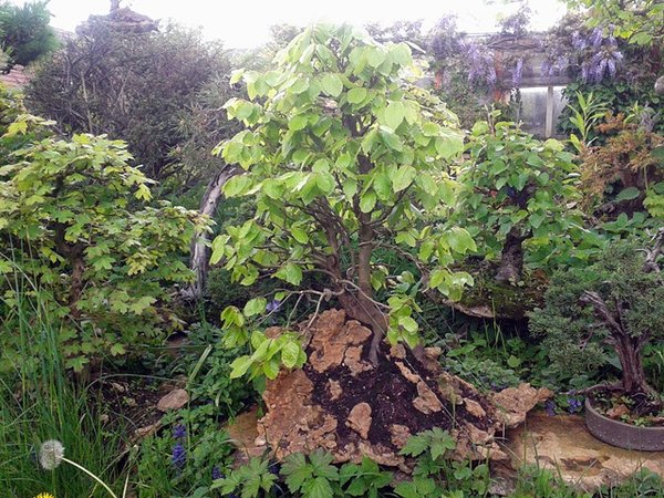 2013-05-21 14.54.26.jpg