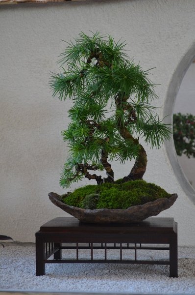 DSC_0064 (424x640).jpg