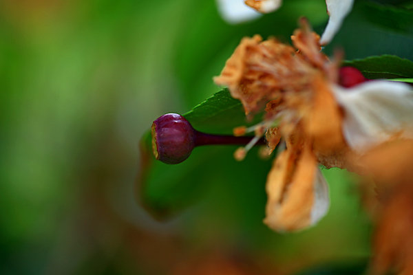 IMG_9881.JPG