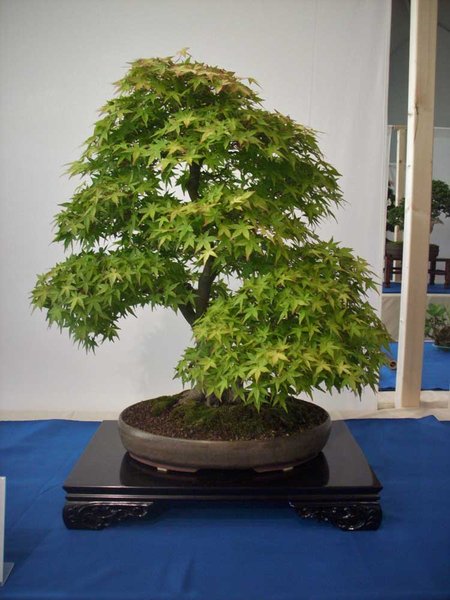 DSCI0041.jpg