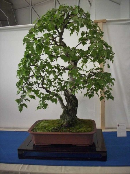 DSCI0051.jpg
