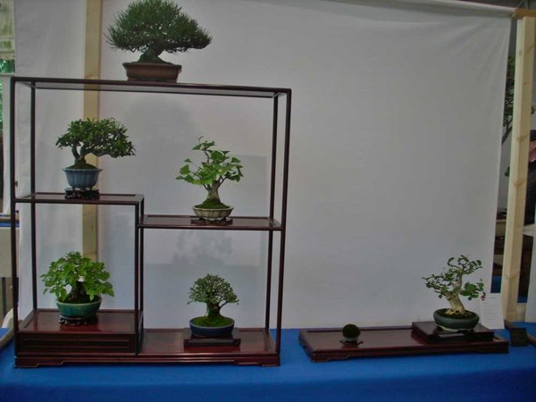 DSCI0073.jpg