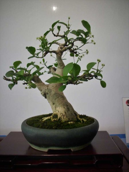 DSCI0076.jpg