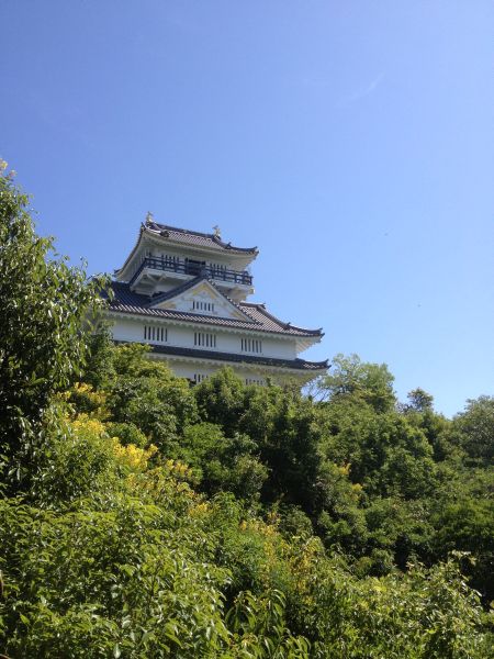 Gifu Castle