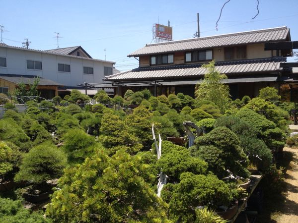 aichien_03.jpg