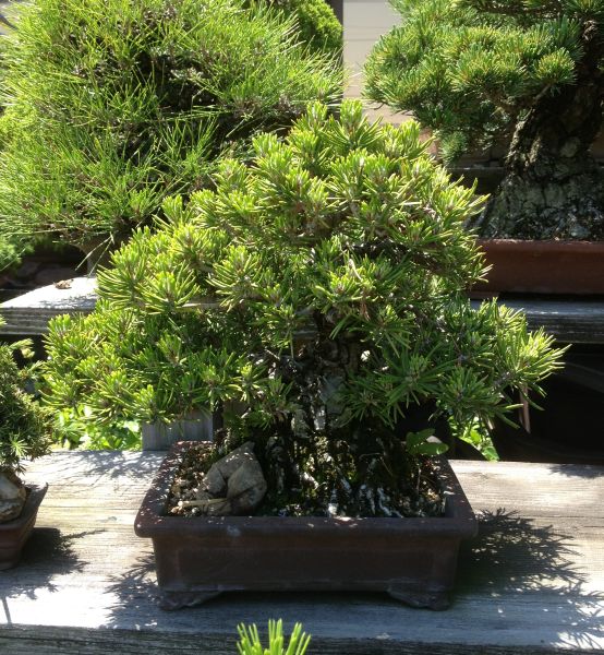 aichien_09.jpg