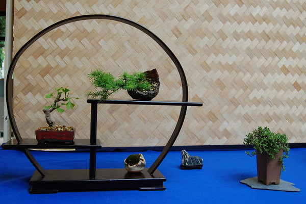 14. Bonsaitage OS Shohin01.jpg