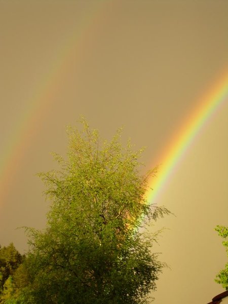 K800_008.JPG