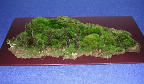 DSCN0083.JPG