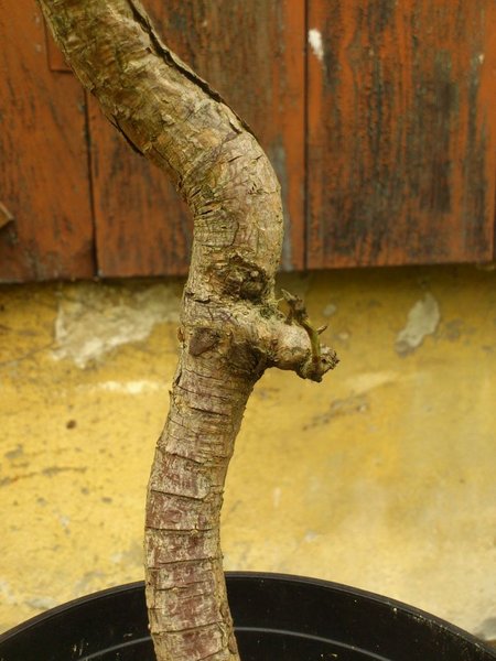 DSC_0842_klein.jpg