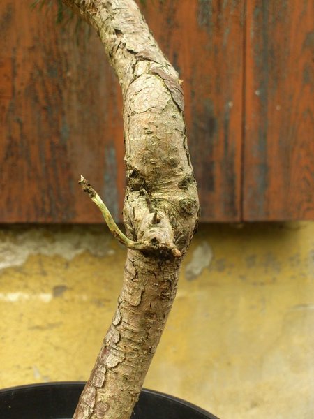 DSC_0844_klein.jpg