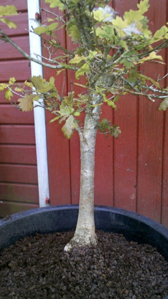2013-06-01_15-56-27_679.jpg