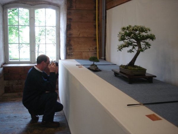 Hallein 2013DSC09661.jpg