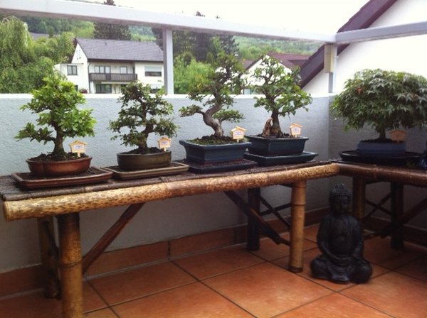 Foto 31.JPG