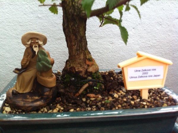 Foto 32.JPG