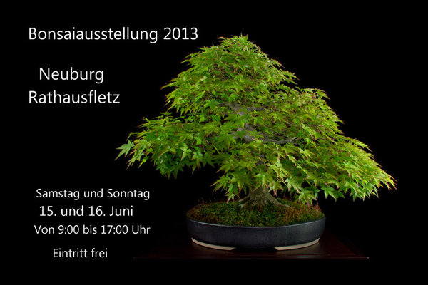 Plakat 2013