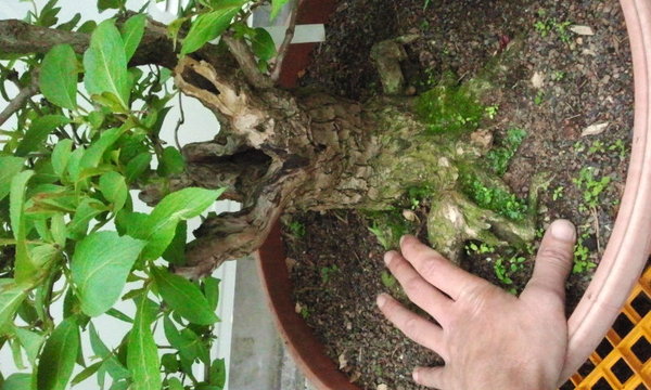 2013-06-11 15.41.25.jpg