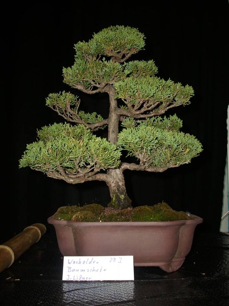DSCI0022.jpg