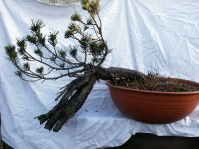 Pict0035.jpg