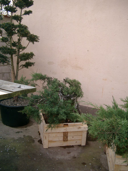 Ausruhen-Frühj.-2004.jpg