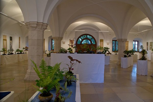 DSC06922.JPG