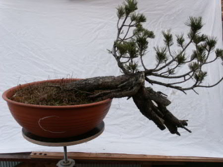 Pict0036.jpg