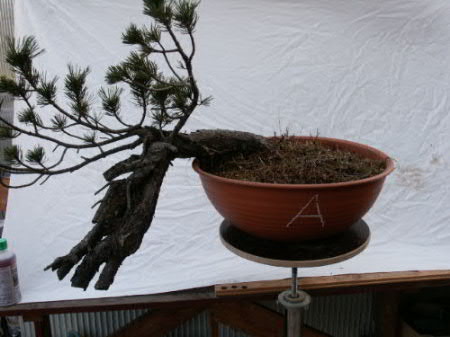 Pict0037.jpg