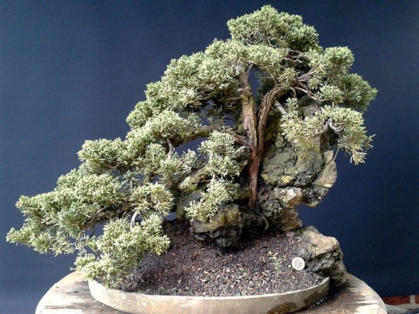 2013-06-16 12.41.28.jpg