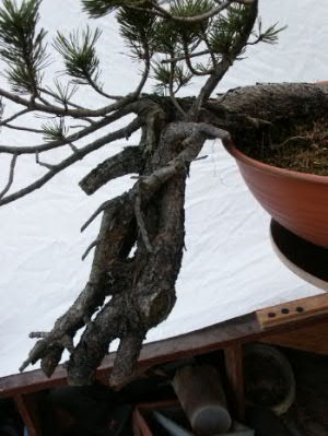 Pict0038.jpg