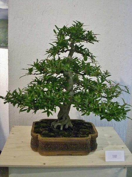 DSCI0059.jpg