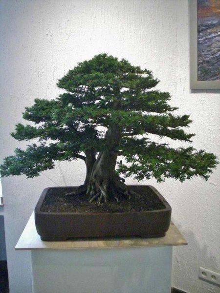 DSCI0077.jpg