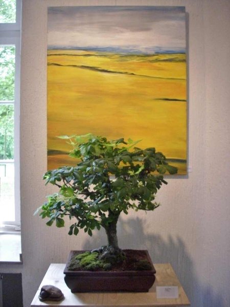DSCI0088.jpg