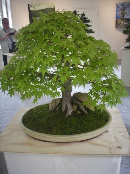 DSCI0107.jpg