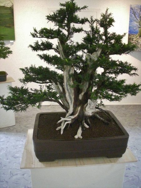 DSCI0136.jpg