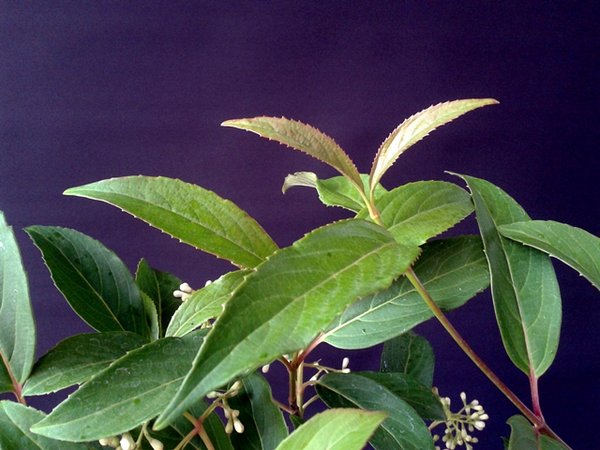 2013-07-02 15.53.08.jpg