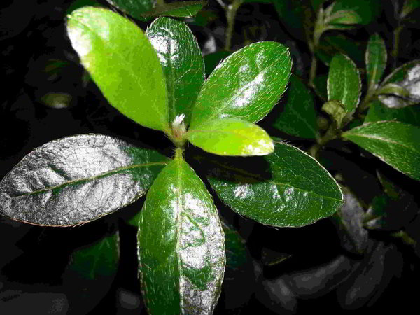 20130704_1825581.jpg