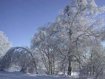 DSCN5977.jpg